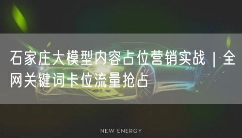 石家庄大模型内容占位营销实战|全网关键词卡位流量抢占