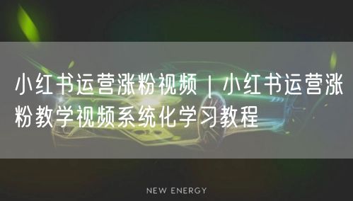 小红书运营涨粉视频|小红书运营涨粉教学视频系统化学习教程
