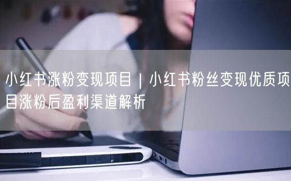 小红书涨粉变现项目|小红书粉丝变现优质项目涨粉后盈利渠道解析