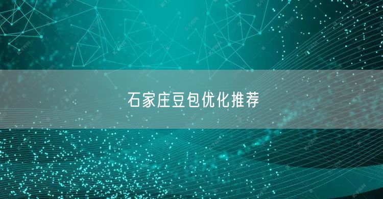 石家庄豆包优化推荐