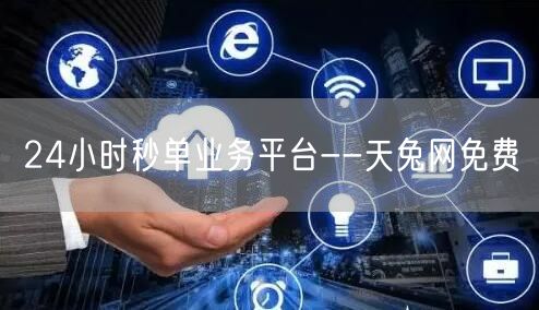 24小时秒单业务平台--天兔网免费