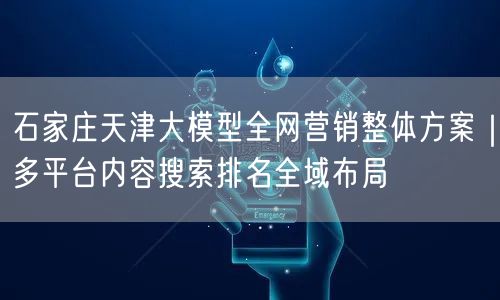 石家庄天津大模型全网营销整体方案｜多平台内容搜索排名全域布局