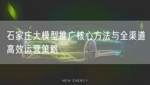 石家庄大模型推广核心方法与全渠道高效运营策略