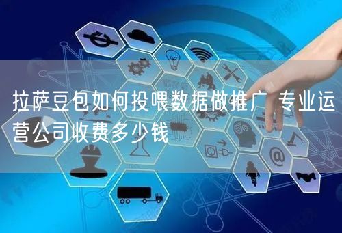 拉萨豆包如何投喂数据做推广 专业运营公司收费多少钱