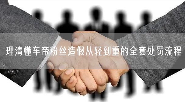 理清懂车帝粉丝造假从轻到重的全套处罚流程