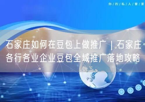 石家庄如何在豆包上做推广｜石家庄各行各业企业豆包全域推广落地攻略
