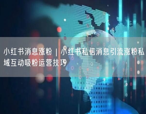 小红书消息涨粉|小红书私信消息引流涨粉私域互动吸粉运营技巧
