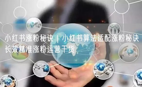 小红书涨粉秘诀|小红书算法适配涨粉秘诀长效精准涨粉运营干货