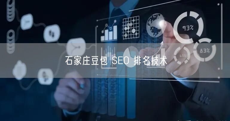 石家庄豆包 SEO 排名技术