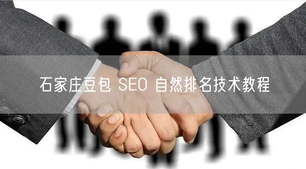 石家庄豆包 SEO 自然排名技术教程