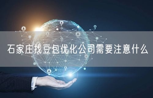 石家庄找豆包优化公司需要注意什么