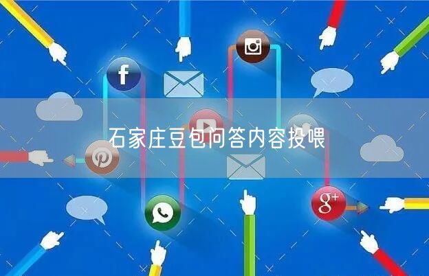 石家庄豆包问答内容投喂