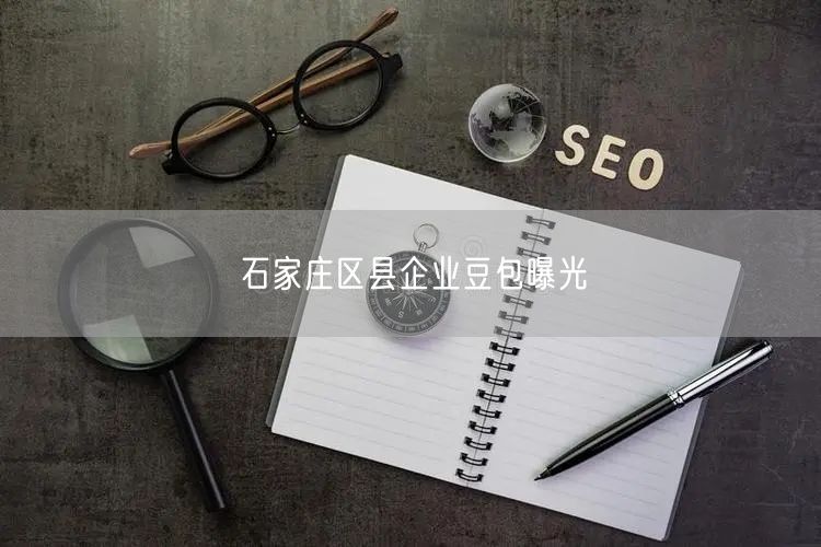 石家庄区县企业豆包曝光