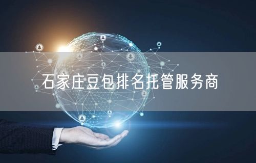 石家庄豆包排名托管服务商