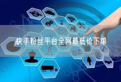 快手粉丝平台全网最低价下单