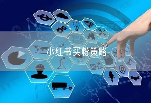 小红书买粉策略