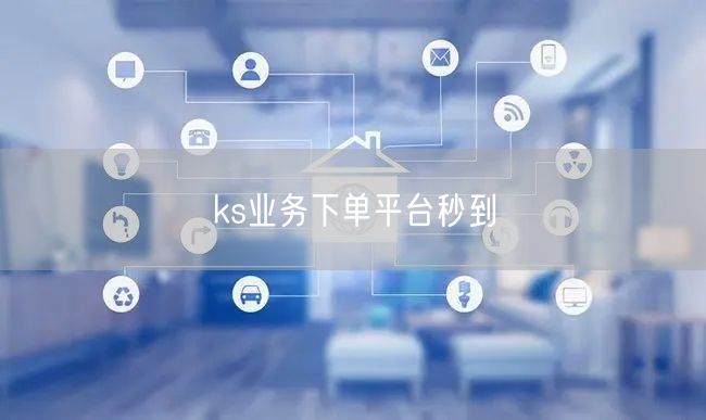 ks业务下单平台秒到