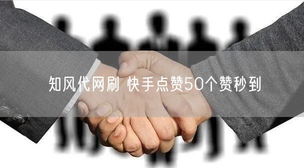 知风代网刷 快手点赞50个赞秒到