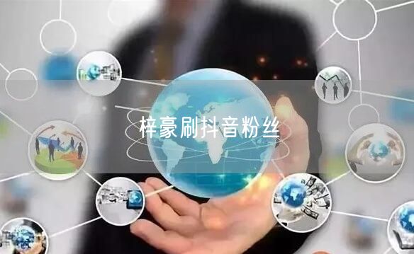 梓豪刷抖音粉丝