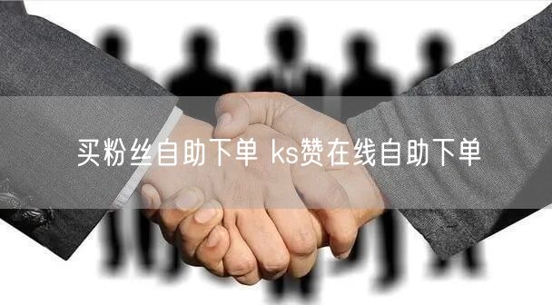 买粉丝自助下单 ks赞在线自助下单