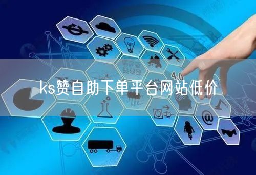 ks赞自助下单平台网站低价