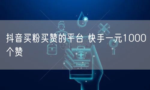 抖音买粉买赞的平台 快手一元1000个赞