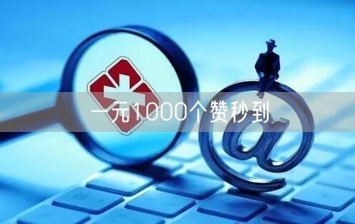 一元1000个赞秒到