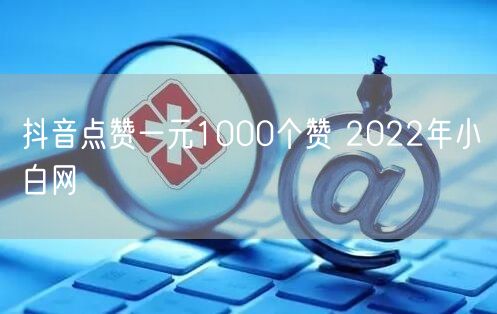 抖音点赞一元1000个赞 2022年小白网