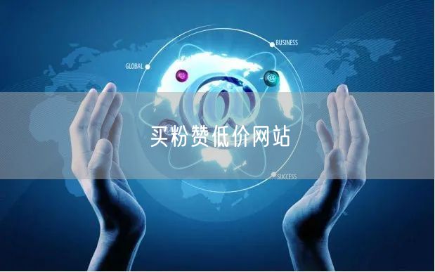 买粉赞低价网站
