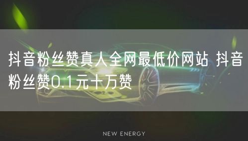 抖音粉丝赞真人全网最低价网站 抖音粉丝赞0.1元十万赞