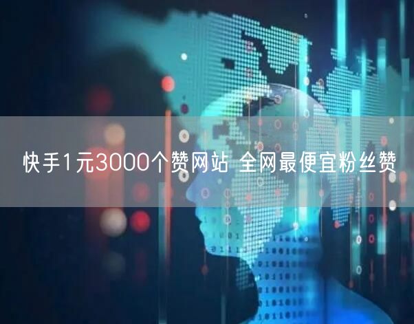 快手1元3000个赞网站 全网最便宜粉丝赞