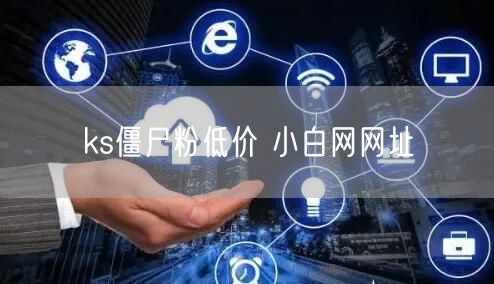 ks僵尸粉低价 小白网网址
