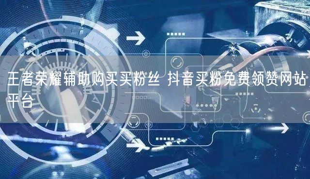 王者荣耀辅助购买买粉丝 抖音买粉免费领赞网站平台