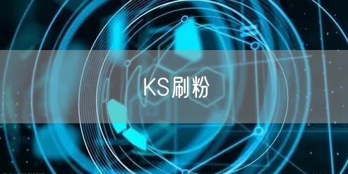 KS刷粉