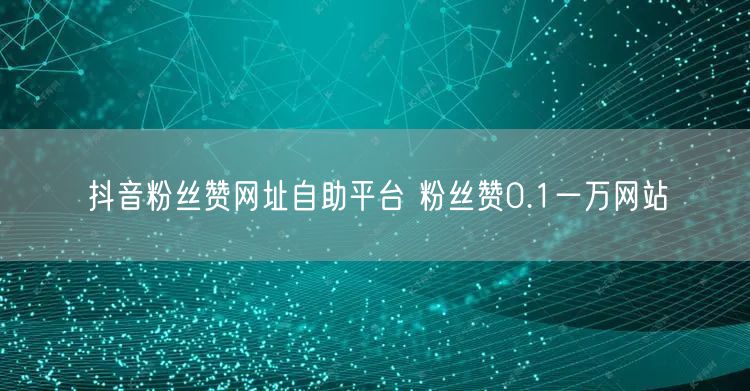 抖音粉丝赞网址自助平台 粉丝赞0.1一万网站