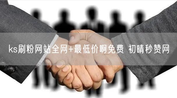 ks刷粉网站全网+最低价啊免费 初晴秒赞网