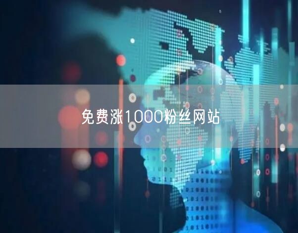 免费涨1000粉丝网站