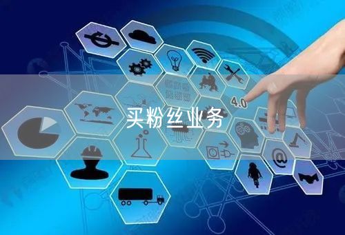 买粉丝业务