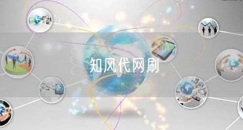 知风代网刷