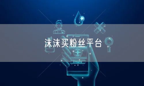 沫沫买粉丝平台