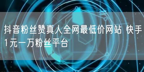 抖音粉丝赞真人全网最低价网站 快手1元一万粉丝平台