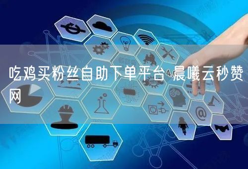 吃鸡买粉丝自助下单平台 晨曦云秒赞网