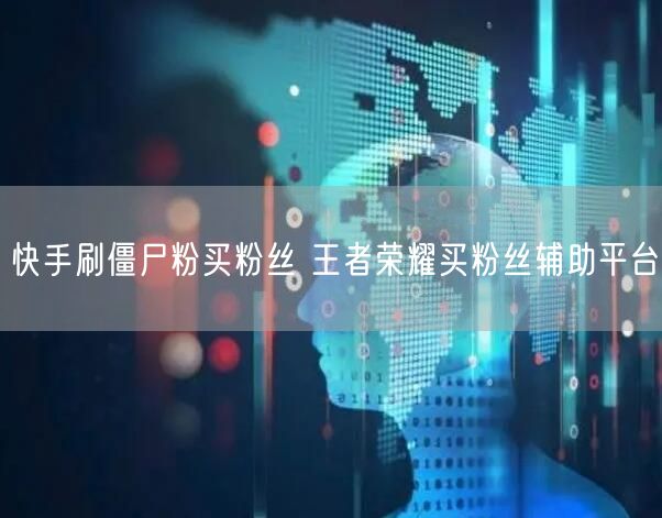 快手刷僵尸粉买粉丝 王者荣耀买粉丝辅助平台