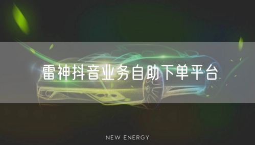 雷神抖音业务自助下单平台