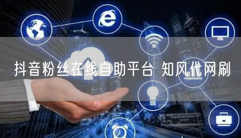 抖音粉丝在线自助平台 知风代网刷